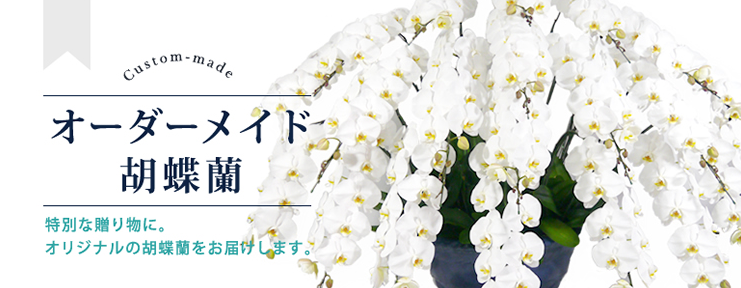 おすすめ①