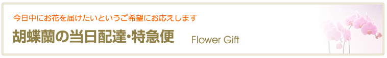 おすすめ②