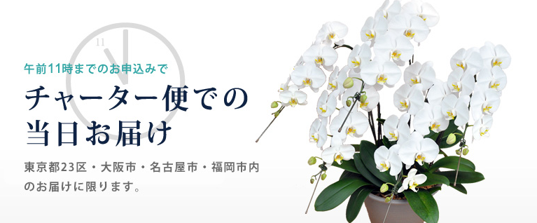 おすすめ④