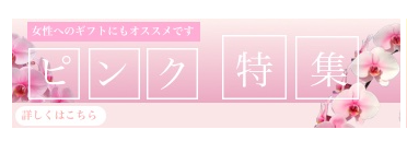 キャンペーン画像①
